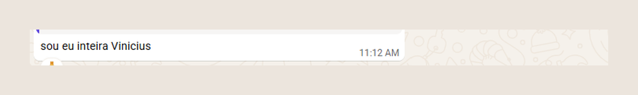 Mensagem de participante do MEC: sou eu inteira, Vinicius