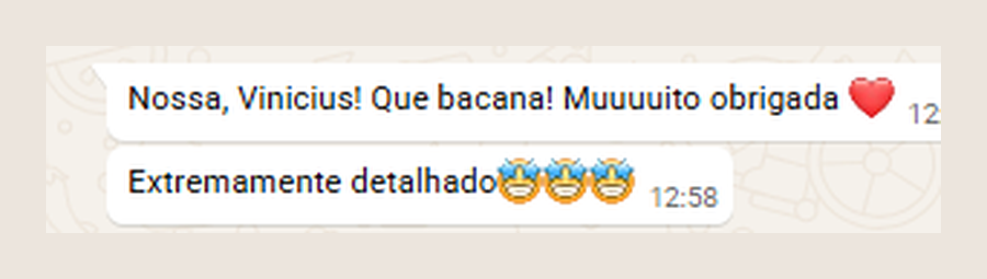 Mensagem de participante do MEC: extremamente detalhado